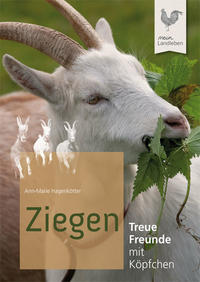 Ziegen