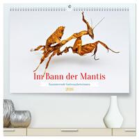 Im Bann der Mantis (hochwertiger Premium Wandkalender 2026 DIN A2 quer), Kunstdruck in Hochglanz