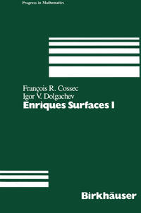 Enriques Surfaces I