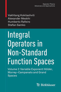 Integral Operators in Non-Standard Function Spaces