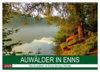 Auwälder bei Enns (Wandkalender 2025 DIN A2 quer), CALVENDO Monatskalender