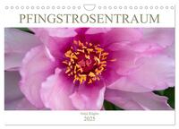 Pfingstrosentraum (Wandkalender 2025 DIN A4 quer), CALVENDO Monatskalender