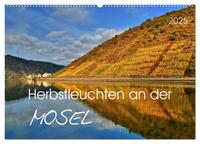 Herbstleuchten an der Mosel (Wandkalender 2025 DIN A2 quer), CALVENDO Monatskalender