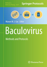 Baculovirus