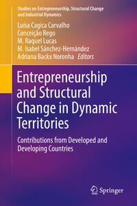 Entrepreneurship and Structural Change in Dynamic Territories