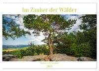 Im Zauber der Wälder (Wandkalender 2025 DIN A2 quer), CALVENDO Monatskalender