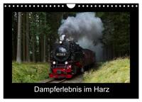 Dampferlebnis im Harz (Wandkalender 2025 DIN A4 quer), CALVENDO Monatskalender