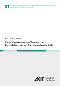 Einmischprozesse am Oberrand der konvektiven atmosphärischen Grenzschicht