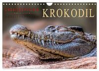 Urzeitreptilien - Krokodil (Wandkalender 2025 DIN A4 quer), CALVENDO Monatskalender