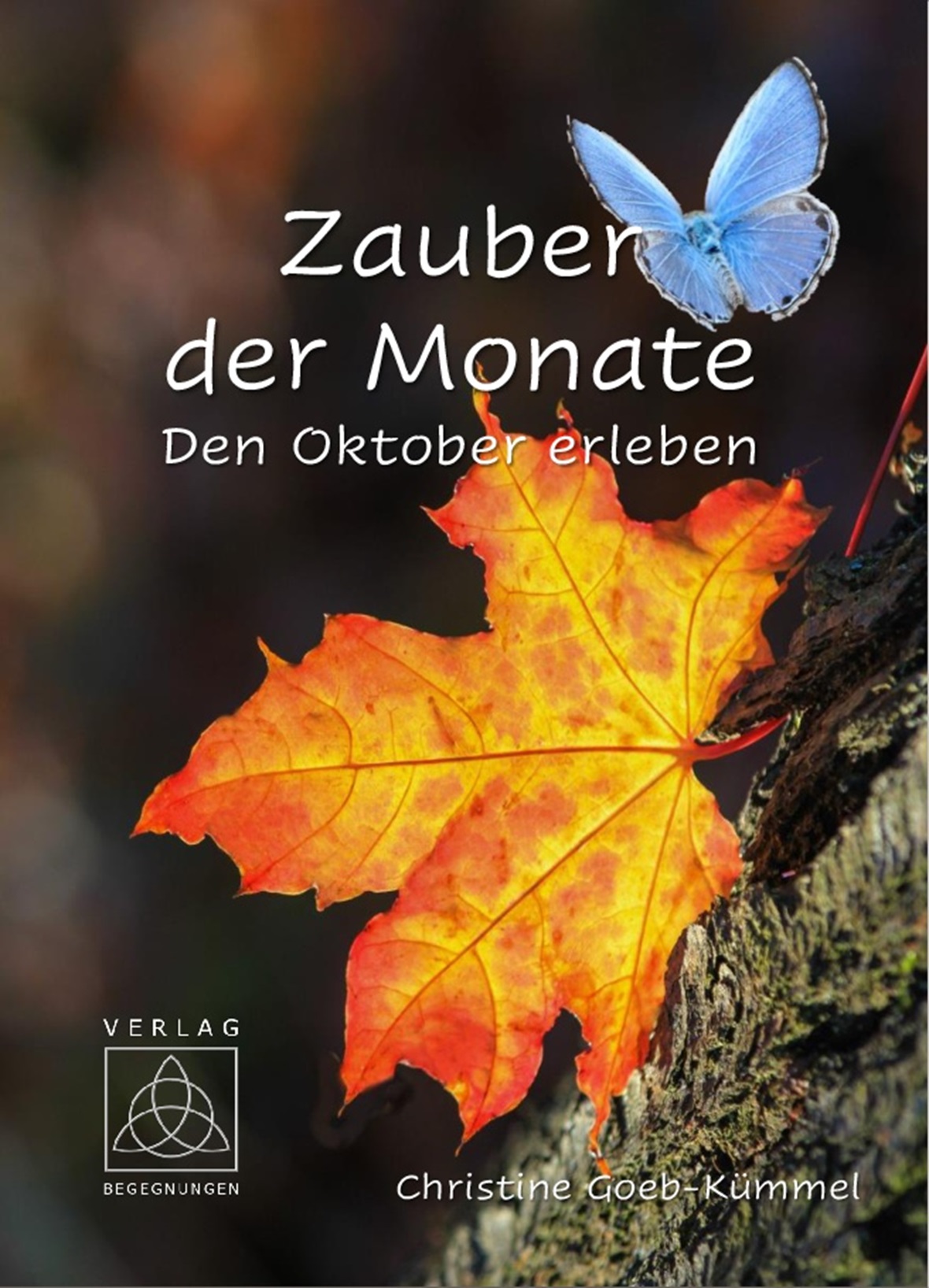 Zauber der Monate