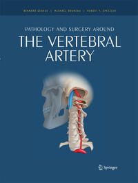 Pathology and surgery around the vertebral artery