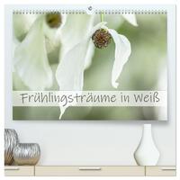 Frühlingsträume in Weiß (hochwertiger Premium Wandkalender 2025 DIN A2 quer), Kunstdruck in Hochglanz