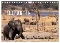 Elefanten - Die sanften Riesen Afrikas (Wandkalender 2025 DIN A4 quer), CALVENDO Monatskalender