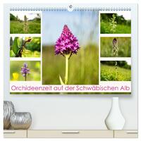 Orchideenzeit auf der Schwäbischen Alb (hochwertiger Premium Wandkalender 2025 DIN A2 quer), Kunstdruck in Hochglanz