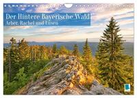 Arber, Rachel und Lusen: Der Hintere Bayerische Wald (Wandkalender 2025 DIN A4 quer), CALVENDO Monatskalender