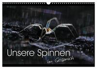 Unsere Spinnen - im Gespräch (Wandkalender 2025 DIN A3 quer), CALVENDO Monatskalender