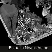 Blicke in Noahs Arche