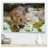 Grüsse von der Maus! (hochwertiger Premium Wandkalender 2025 DIN A2 quer), Kunstdruck in Hochglanz