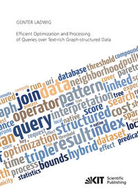 Efficient Optimization and Processing of Queries over Text-rich Graph-structured Data