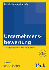 Unternehmensbewertung