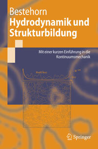 Hydrodynamik und Strukturbildung