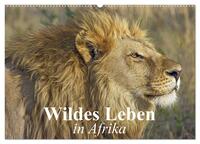 Wildes Leben in Afrika (Wandkalender 2025 DIN A2 quer), CALVENDO Monatskalender