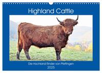 Highland Cattle, die Hochlandrinder aus Pfeffingen (Wandkalender 2025 DIN A3 quer), CALVENDO Monatskalender