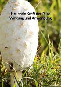 Heilende Kraft der Pilze Wirkung und Anwendung