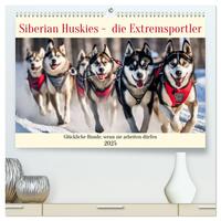 Siberian Huskies - die Extremsportler (hochwertiger Premium Wandkalender 2025 DIN A2 quer), Kunstdruck in Hochglanz