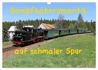 Dampfbahnromantik auf schmaler Spur (Wandkalender 2025 DIN A3 quer), CALVENDO Monatskalender