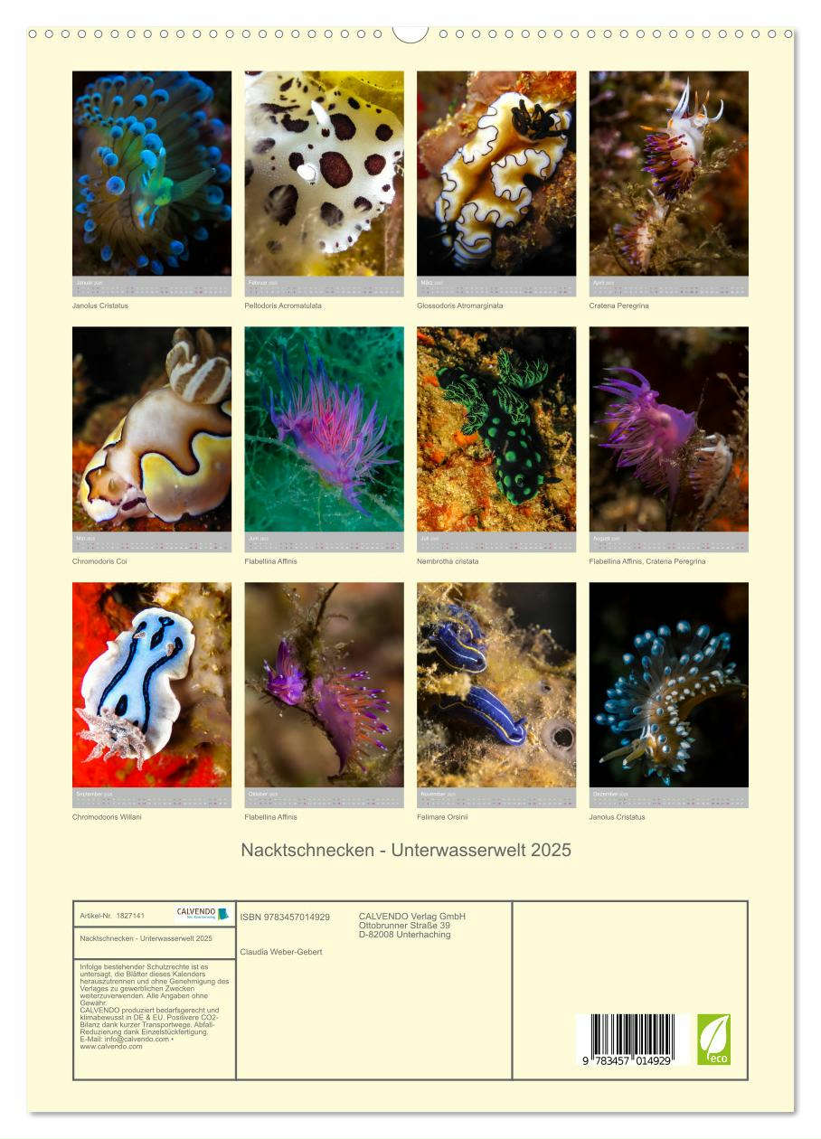 Nacktschnecken - Unterwasserwelt 2025 (hochwertiger Premium Wandkalender 2025 DIN A2 hoch), Kunstdruck in Hochglanz