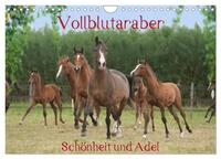 Vollblutaraber - Schönheit und Adel (Wandkalender 2025 DIN A4 quer), CALVENDO Monatskalender