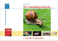 Die Weinbergschnecke und ihre Verwandten