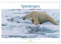 Spitzbergen - Eis, Eisbären und mehr (Wandkalender 2025 DIN A3 quer), CALVENDO Monatskalender