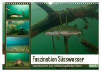 Faszination Süsswasser (Wandkalender 2025 DIN A3 quer), CALVENDO Monatskalender