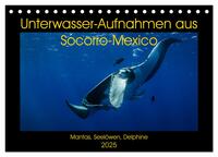 Unterwasser-Aufnahmen aus Socorro-Mexico (Tischkalender 2025 DIN A5 quer), CALVENDO Monatskalender