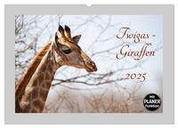 Twigas - Giraffen (Wandkalender 2025 DIN A2 quer), CALVENDO Monatskalender