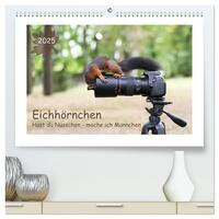 Eichhörnchen - Hast du Nüsschen mache ich Männchen (hochwertiger Premium Wandkalender 2025 DIN A2 quer), Kunstdruck in Hochglanz