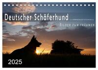 Deutscher Schäferhund / CH-Version (Tischkalender 2025 DIN A5 quer), CALVENDO Monatskalender