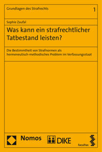 Was kann ein strafrechtlicher Tatbestand leisten?