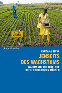 Jenseits des Wachstums