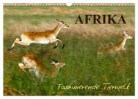 Afrika - Faszinierende Tierwelt (Wandkalender 2025 DIN A3 quer), CALVENDO Monatskalender