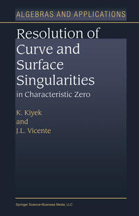 Resolution of Curve and Surface Singularities in Characteristic Zero