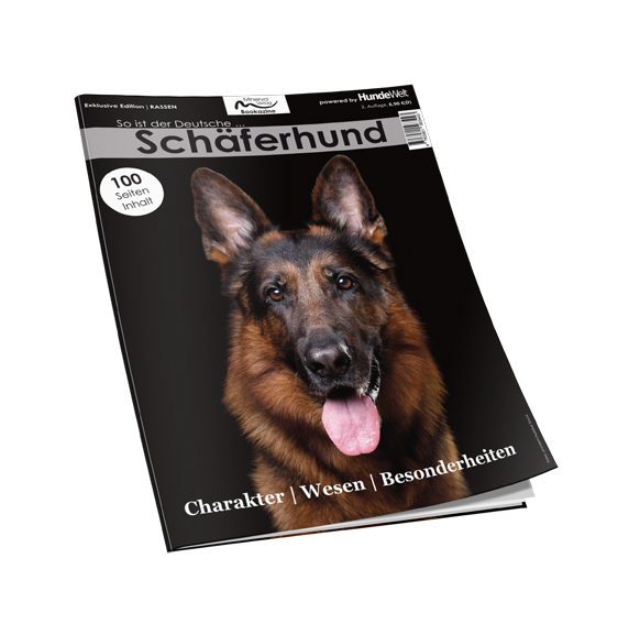 So ist der Deutsche Schäferhund