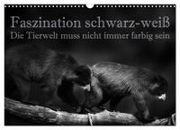 Faszination schwarz-weiß - Die Tierwelt muss nicht immer farbig sein (Wandkalender 2025 DIN A3 quer), CALVENDO Monatskalender