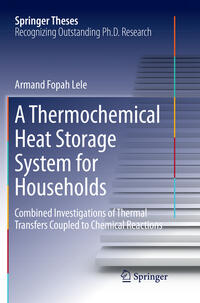 A Thermochemical Heat Storage System for Households