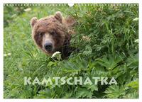 Aug in Aug mit den Braunbären in Kamtschatka (Wandkalender 2025 DIN A3 quer), CALVENDO Monatskalender