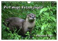 Putzige Fischjäger (Wandkalender 2025 DIN A4 quer), CALVENDO Monatskalender