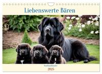 Neufundländer - Liebenswerte Bären (Wandkalender 2025 DIN A4 quer), CALVENDO Monatskalender