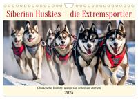 Siberian Huskies - die Extremsportler (Wandkalender 2025 DIN A4 quer), CALVENDO Monatskalender